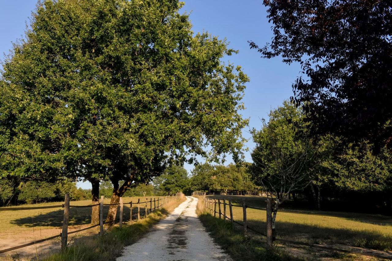 Lignan-de-Bordeaux Domaine Verte Vallee מראה חיצוני תמונה